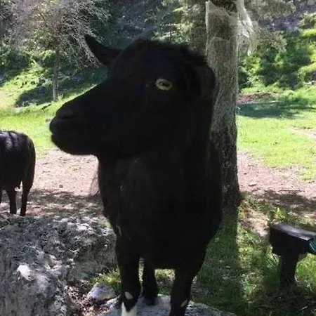 Zecamping 3 Etoiles Pet Friendly Locatif Tv Lv 35M2 6 Pers * Castellane