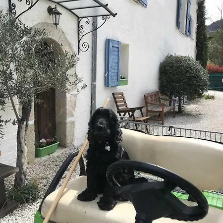Zecamping 3 Etoiles Pet Friendly Locatif Tv Lv 35M2 6 Pers Alpstuga