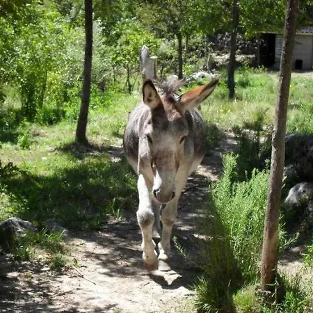 Zecamping 3 Etoiles Pet Friendly Locatif Tv Lv 35M2 6 Pers Castellane