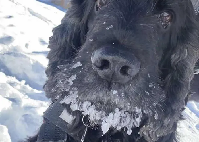 3 Etoiles - Ccbbbda Campsite Castellane