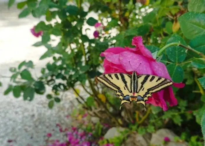 3 Etoiles - Ccbbbda Castellane