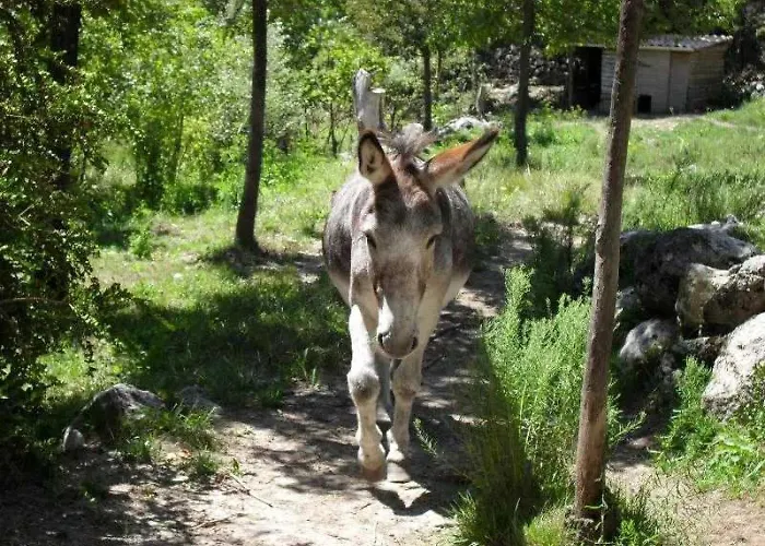 3 Etoiles - Ccbbbda Castellane